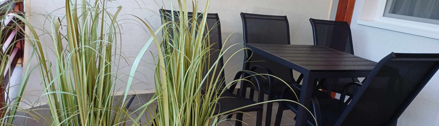 449159136_1004531735013962_183460353019227179_n