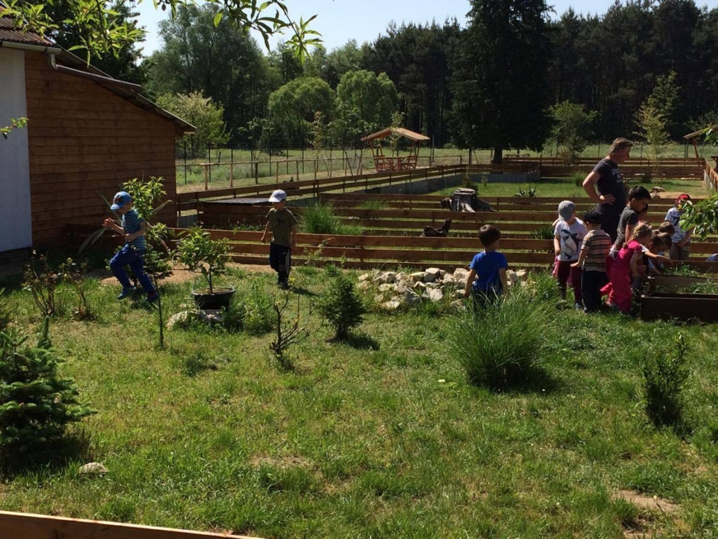 462505361_2461459964043774_2193237318199172532_n