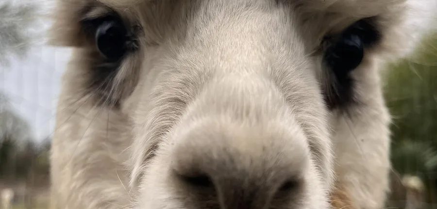 received_375123945401170